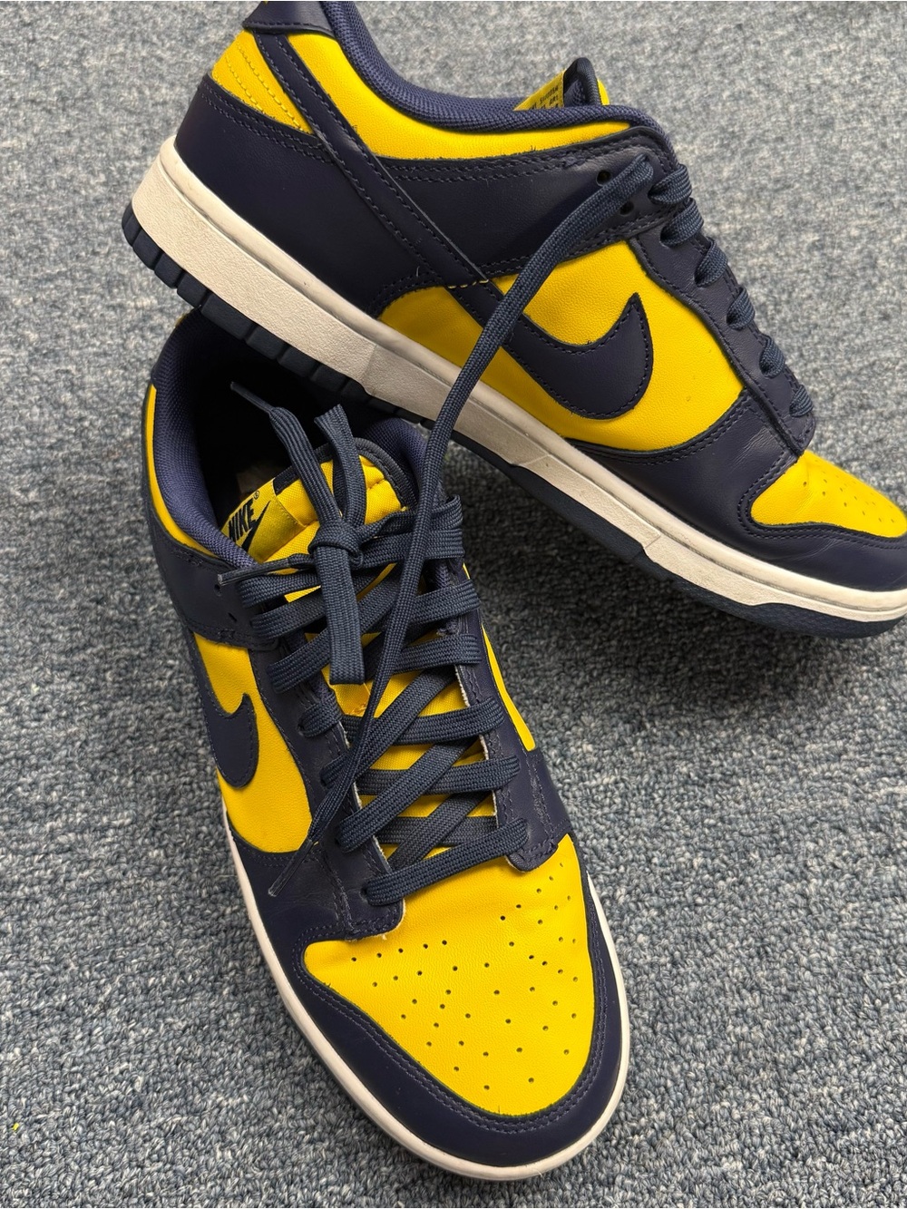 Nike Dunk Low Michigan Sneakers Men’s Size 9
